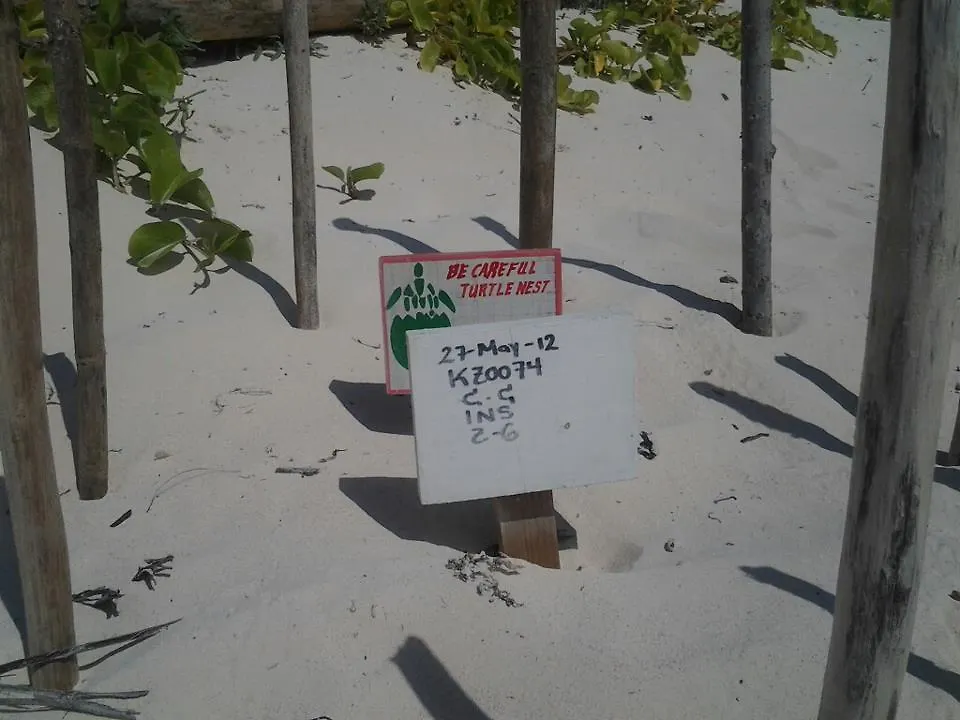 Nueva Vida De Ramiro Hotel Tulum