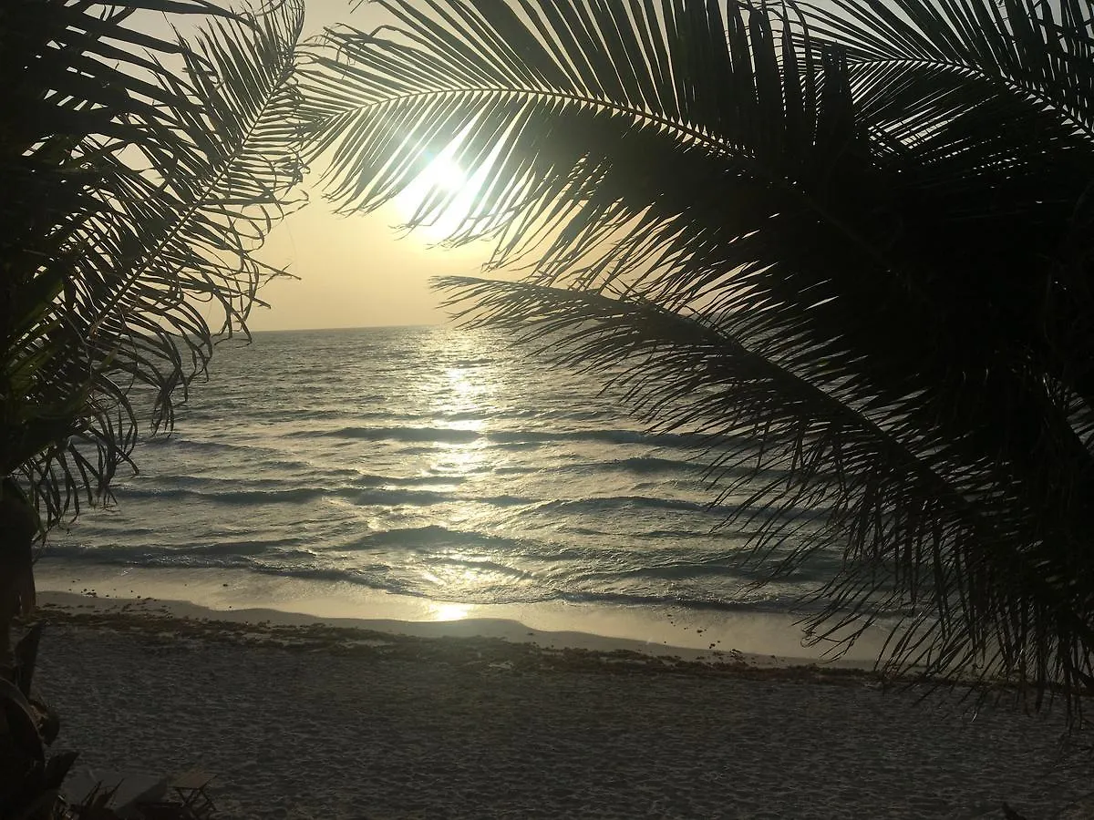 Nueva Vida De Ramiro Hotel Tulum
